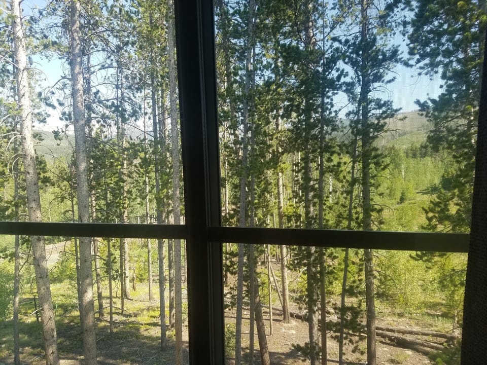 View from the upper master of the Continental Divide & the trail to Main St. 