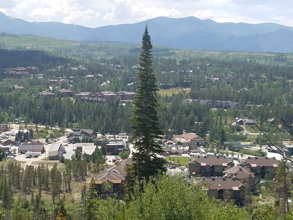 Overview of downtown Winter Park from Yankee Doodle hiking/biking trail.