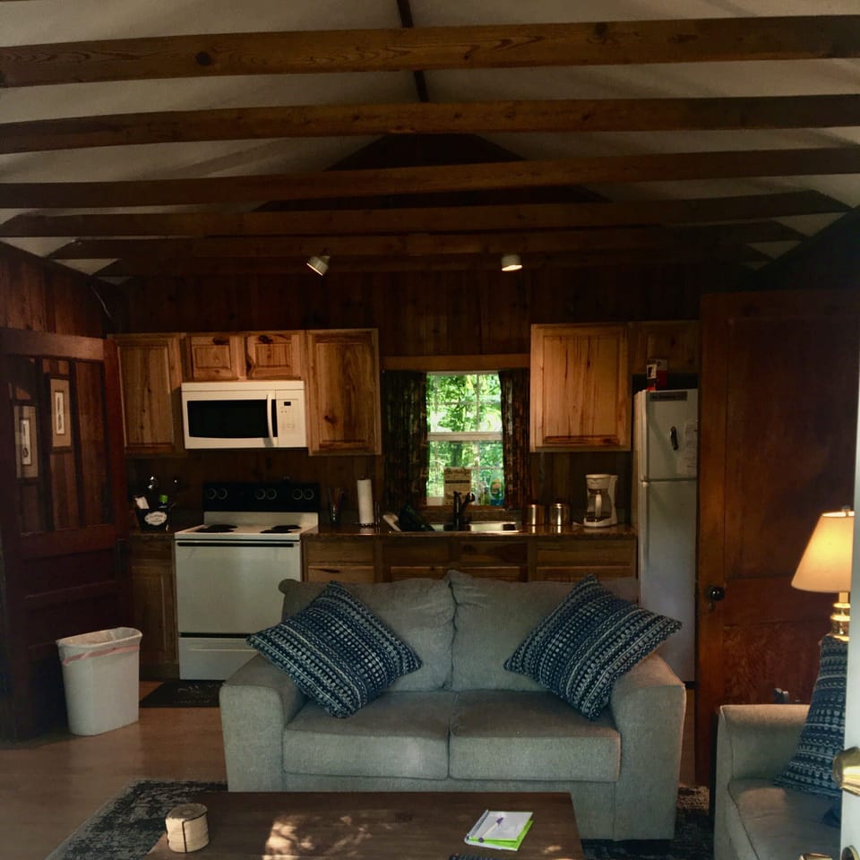 Living room with kitchen in background.
