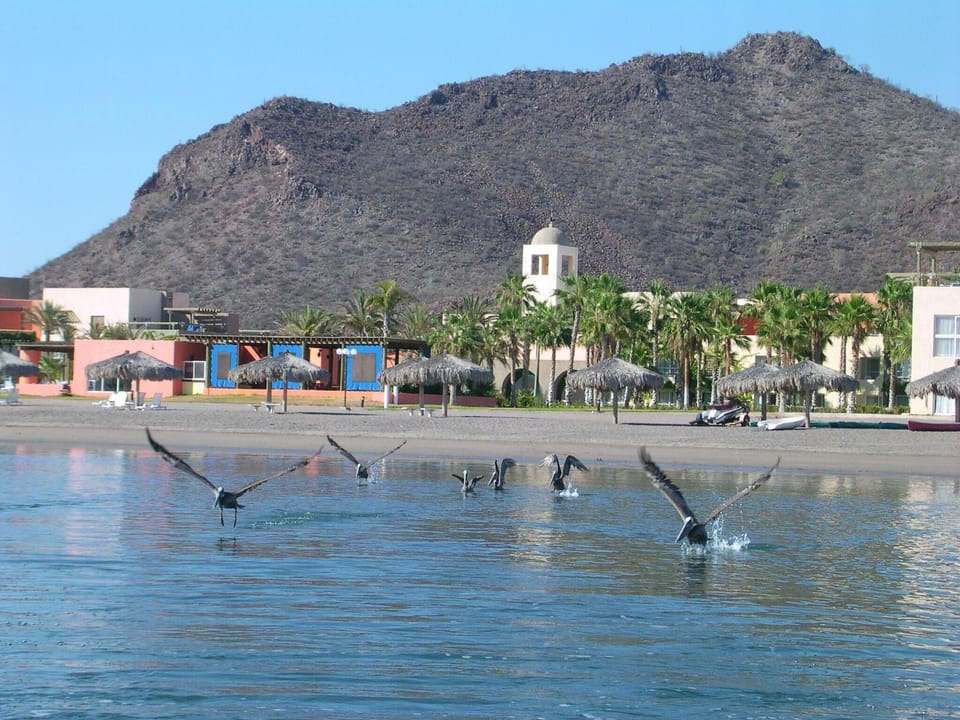 Sea of Cortez  with palapas, Loreto Bay.