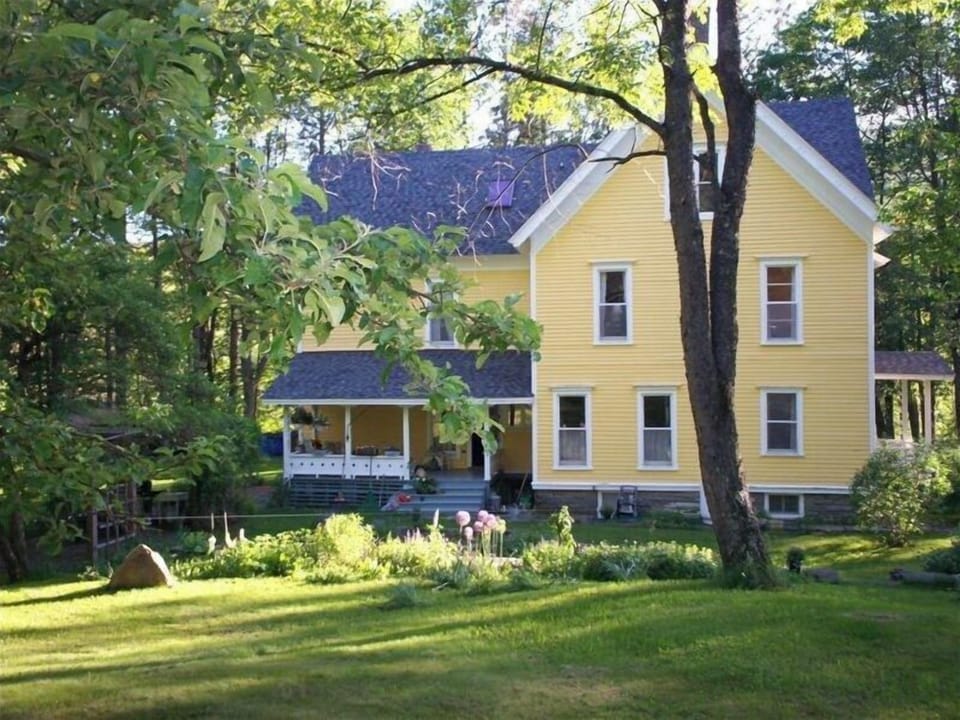 Back of house and lawn in summer.
