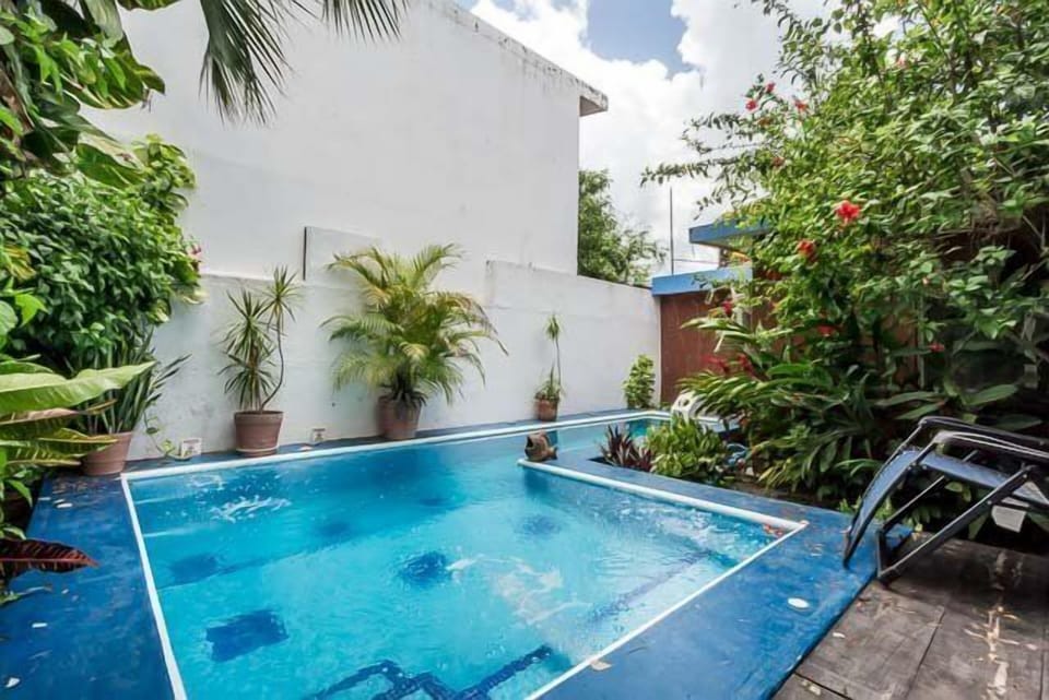 A large L shaped pool takes up the majority of the backyard