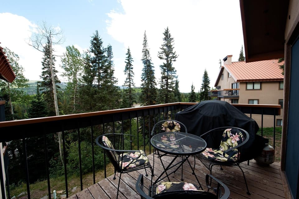 Deck with BBQ and Dining Table