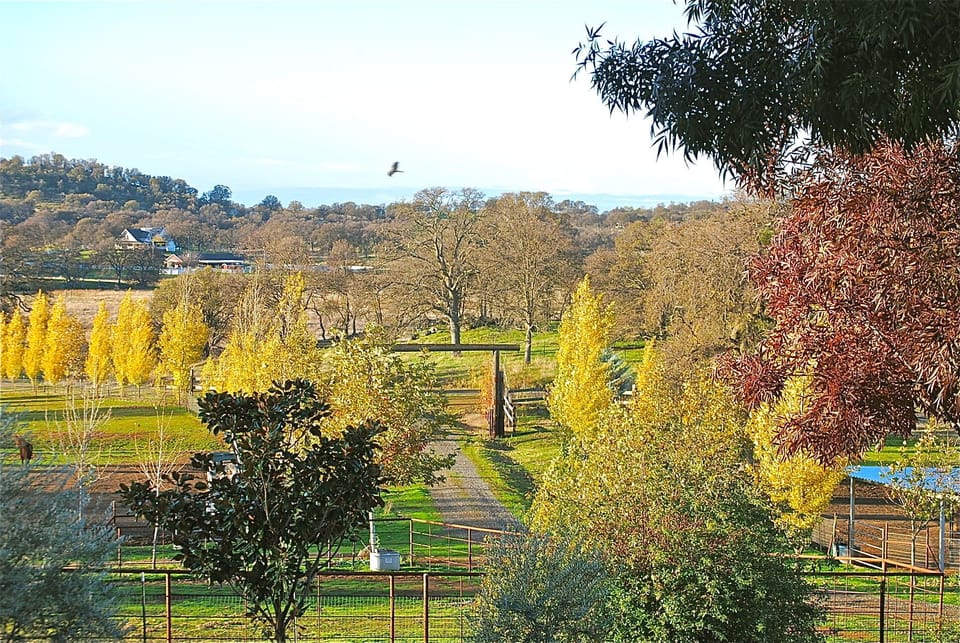 View from Ranch Headquarters