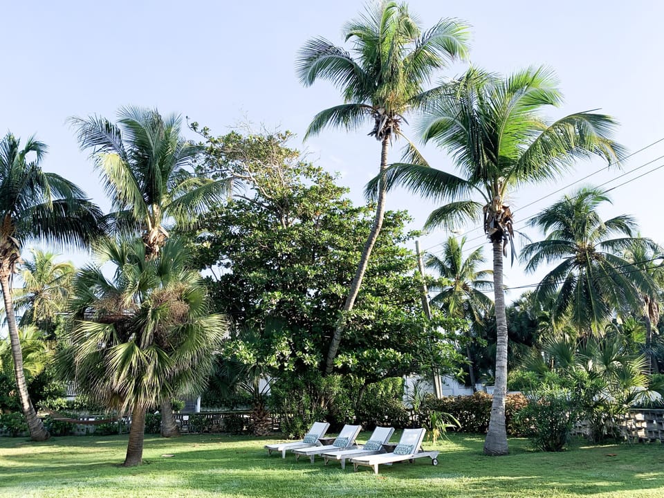 Sun loungers in the garden. 