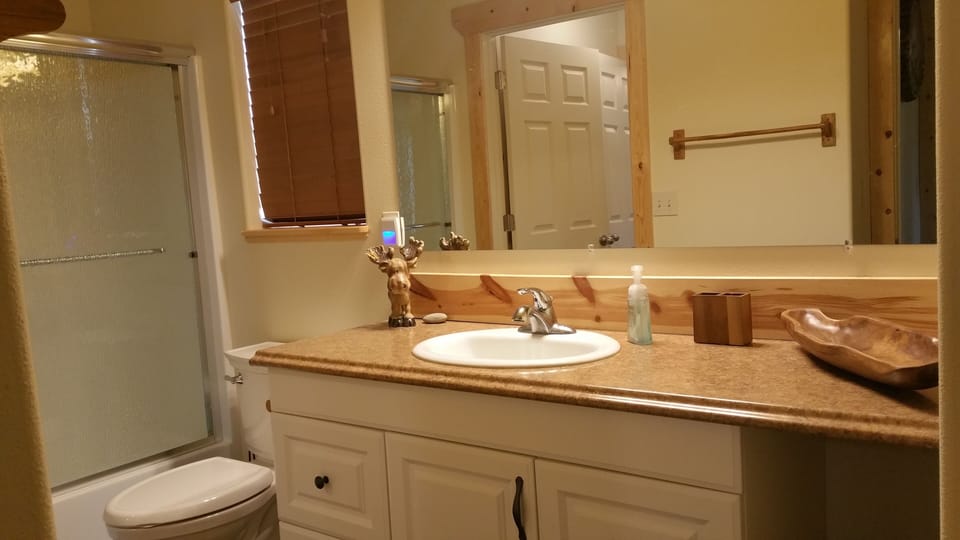 Master bath downstairs 