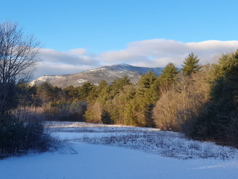 Family room view-winter