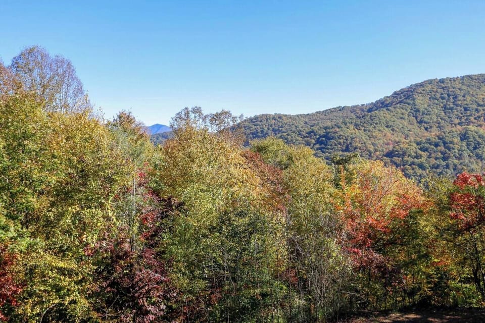 Fall View from the Deck