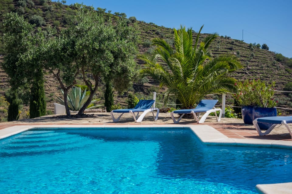 Large private pool set in olive and almond groves.