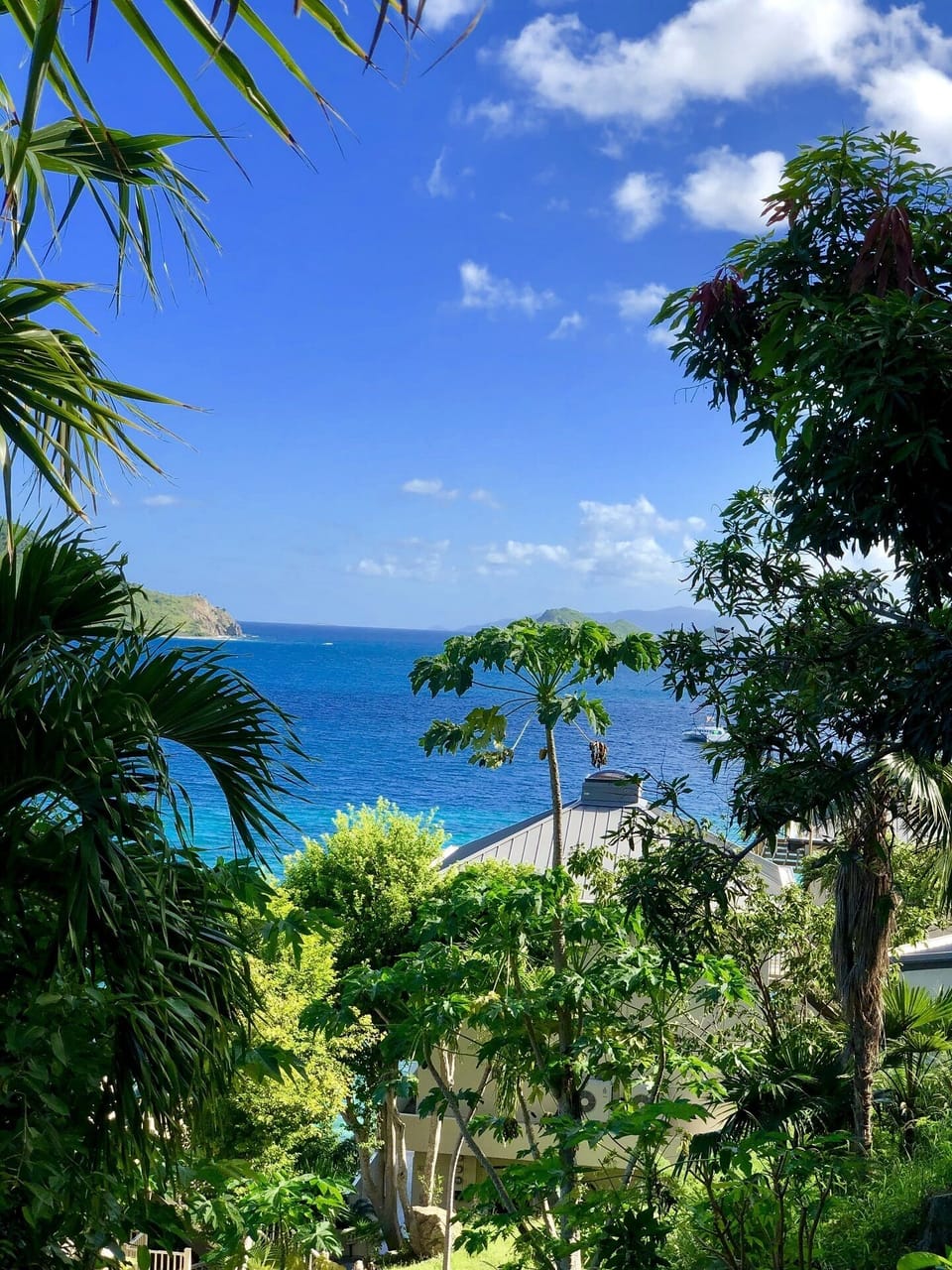 Balcony Views!