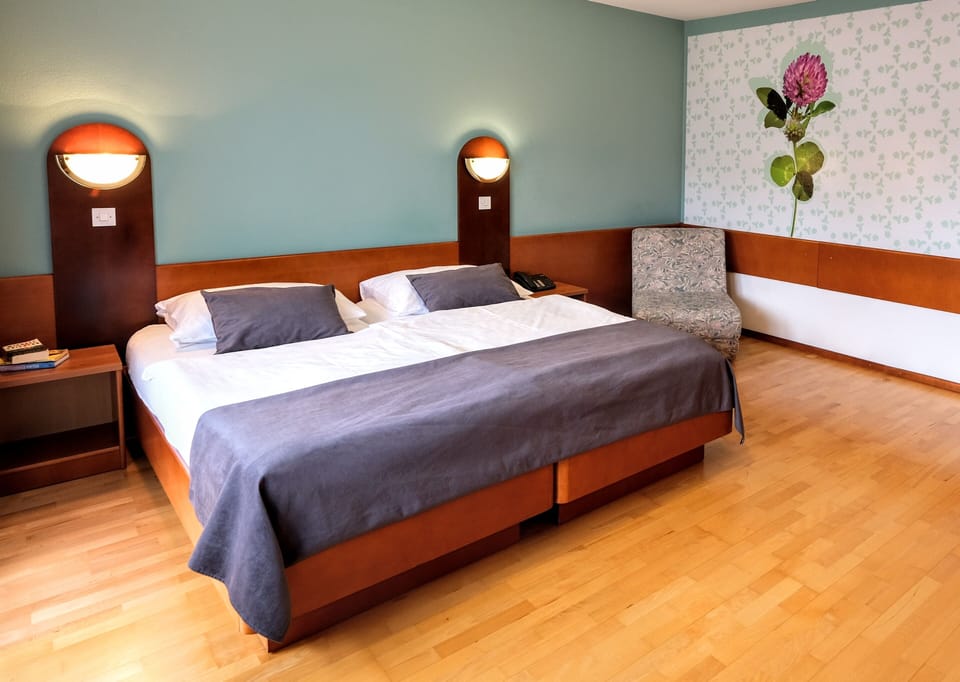 Economy Double or Twin Room | In-room safe, desk, laptop workspace, cribs/infant beds