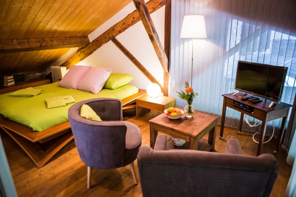 Traditional Double Room, 1 King Bed, River View (Les Nids des Oiseaux ) | Living area | Flat-screen TV, DVD player, table tennis, books