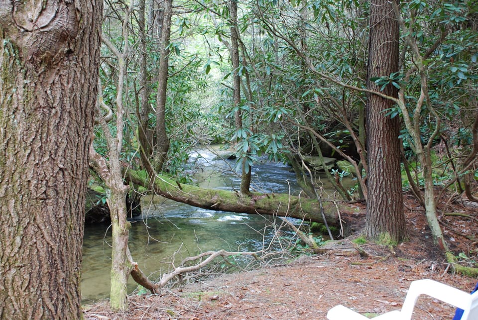 40 acres of beautiful places.  There are two large streams on the property