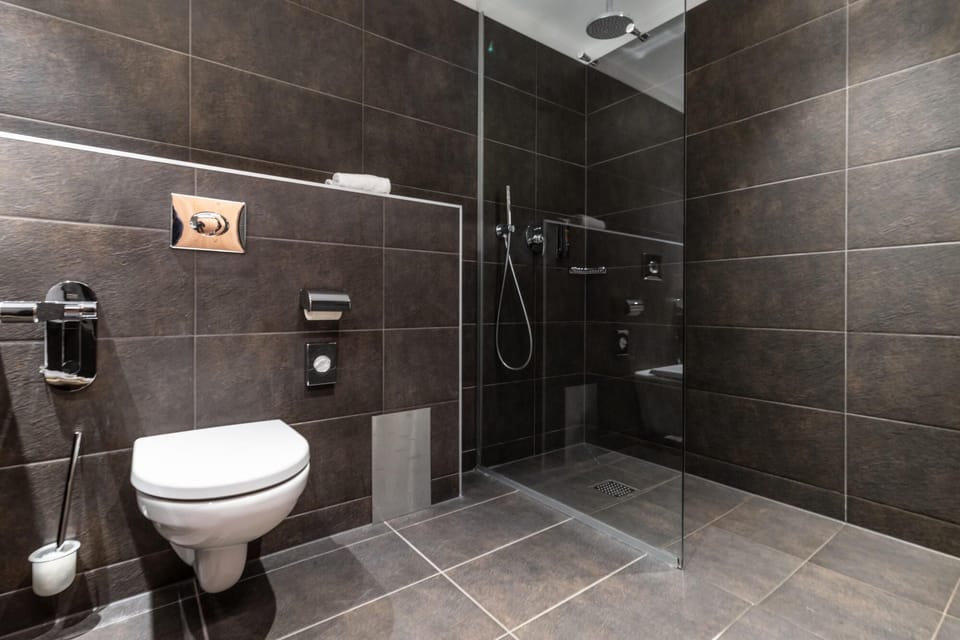 Shower, hair dryer, bathrobes, bidet