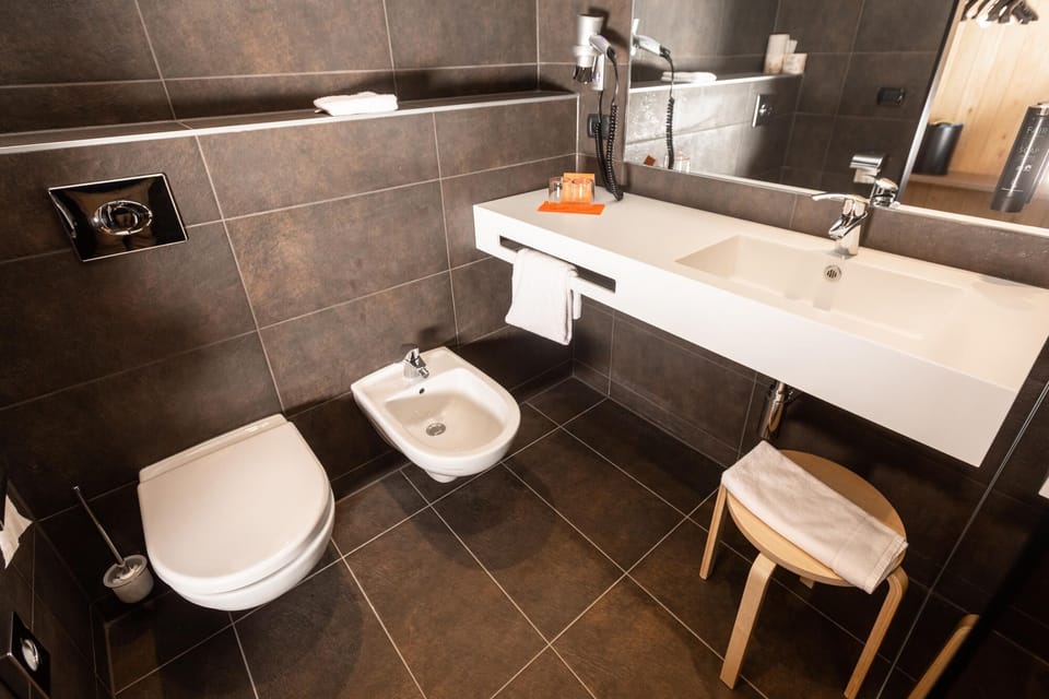 Shower, hair dryer, bathrobes, bidet