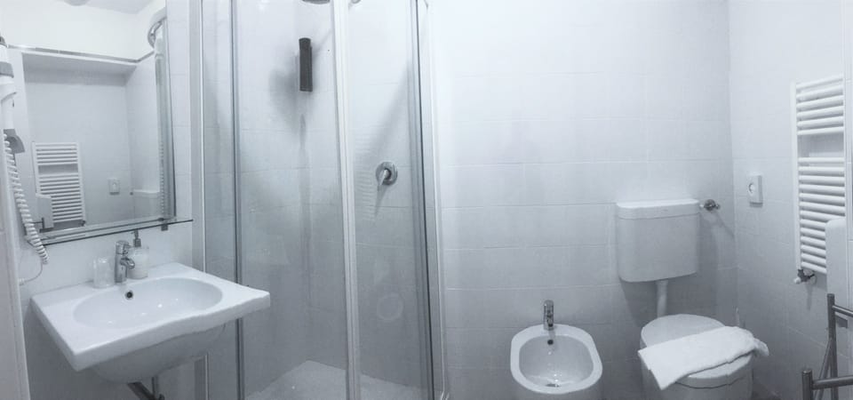 Shower, free toiletries, hair dryer, bidet