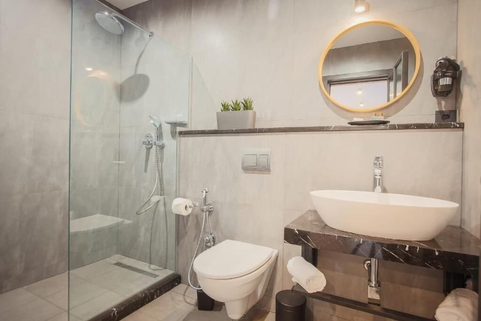 Deluxe Double Room | Bathroom | Shower, free toiletries, hair dryer, bathrobes