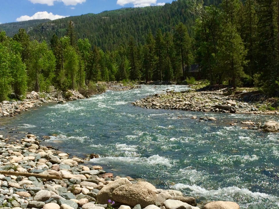 Summer on the river.