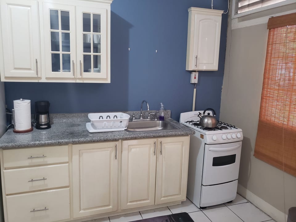 Deluxe Apartment, 1 Queen Bed, Non Smoking | Private kitchen | Full-size fridge, microwave, oven, stovetop