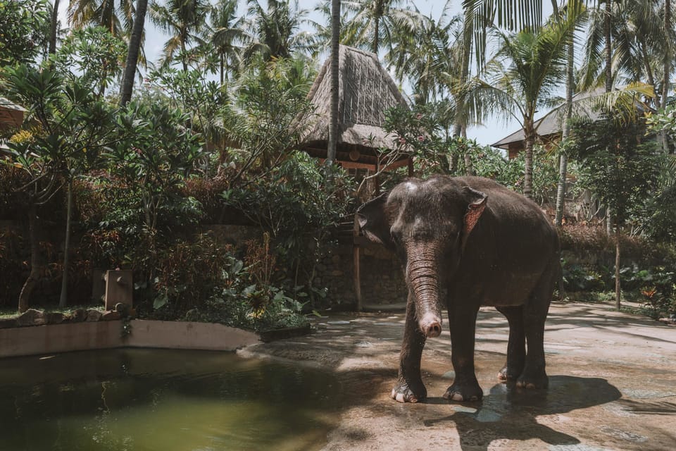 Ecotours