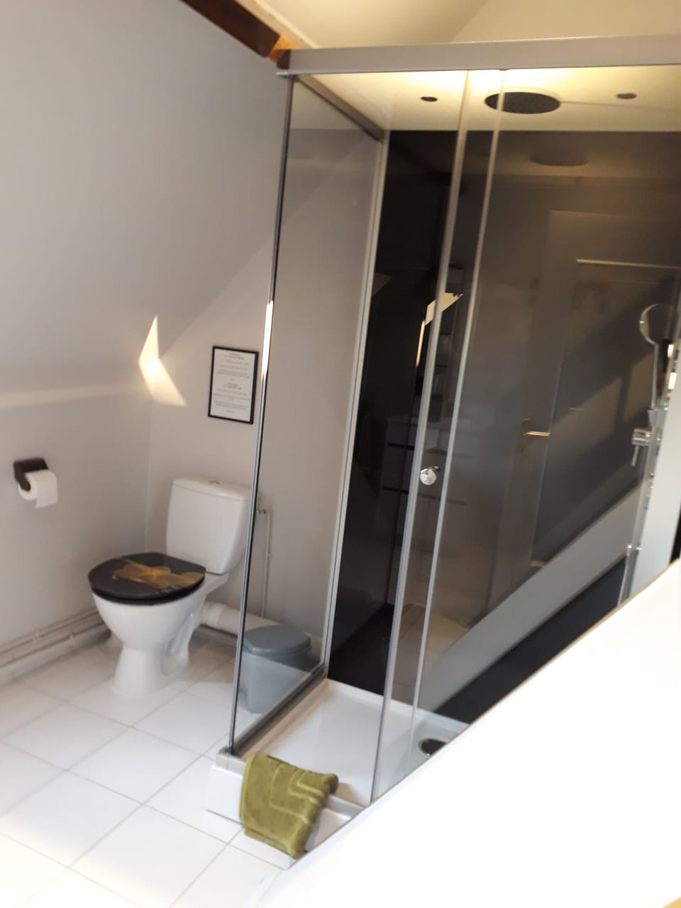 Family Suite | Bathroom | Shower, free toiletries, hair dryer, towels