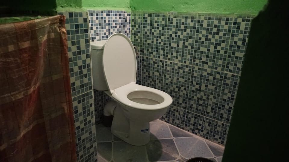 Shower, towels, soap, toilet paper