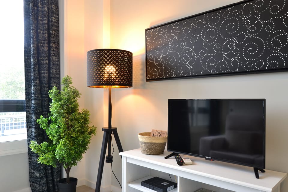Television