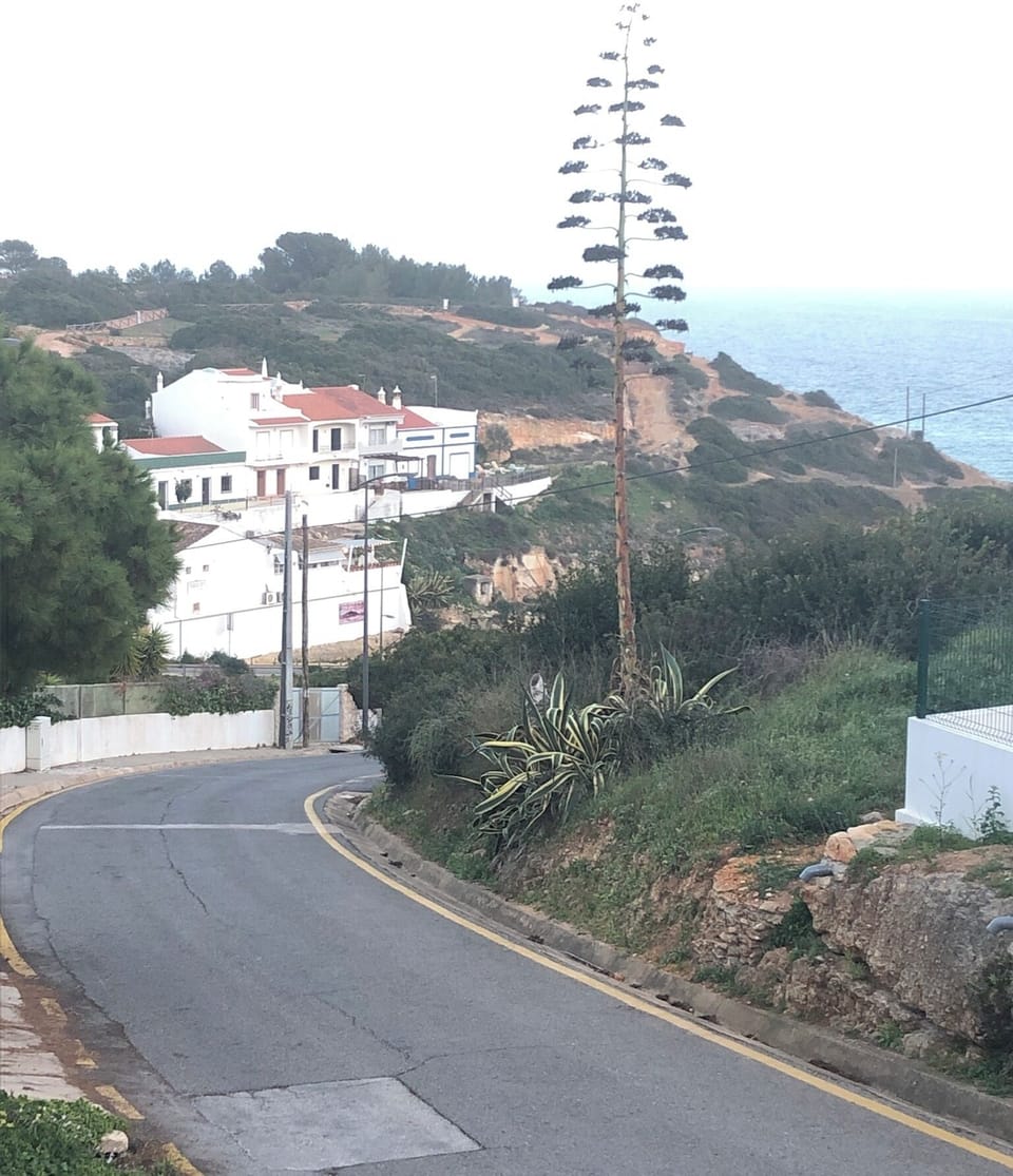 Road to Benagil beach