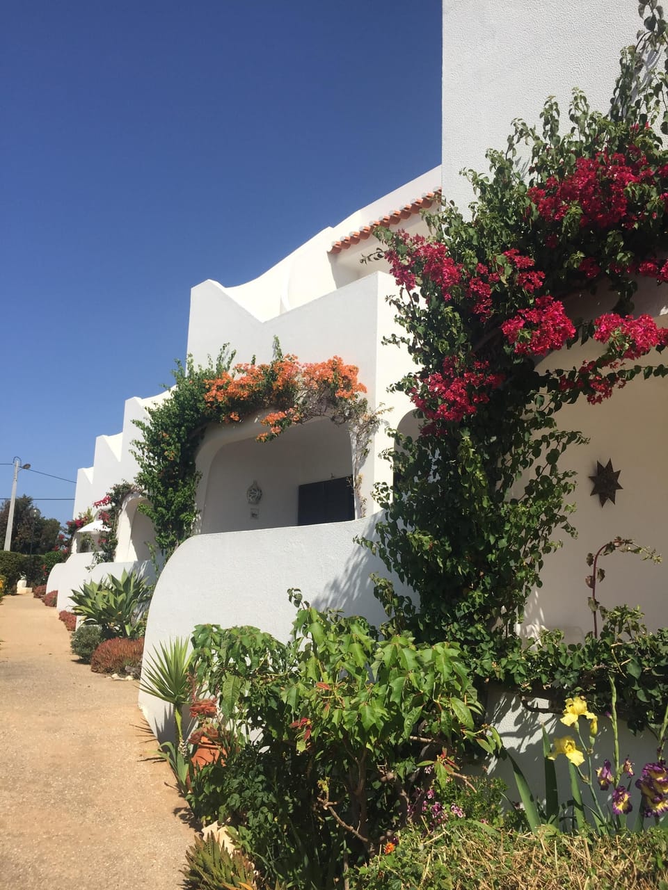 There's a range of beautiful planting around the apartments
