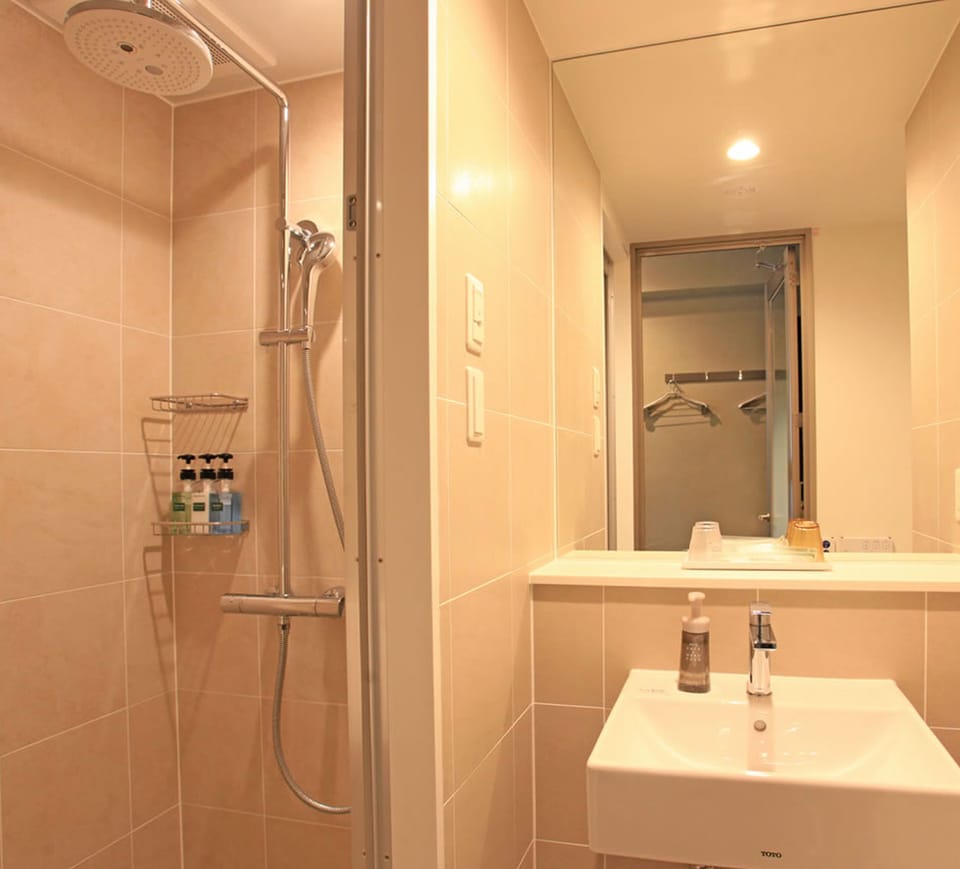 Free toiletries, hair dryer, slippers, bidet