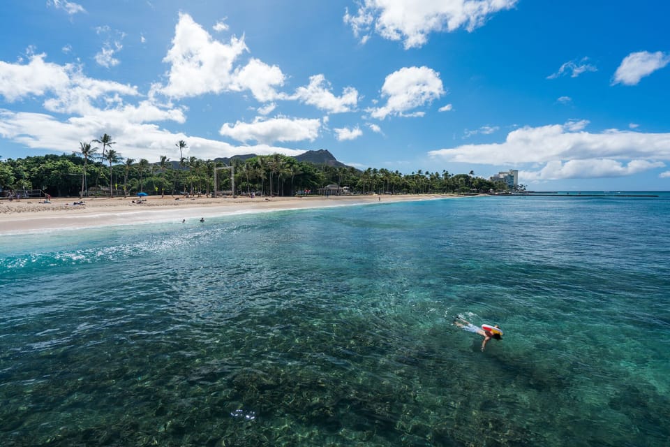 Within one block's walk, enjoy swimming and floating in the lagoon.