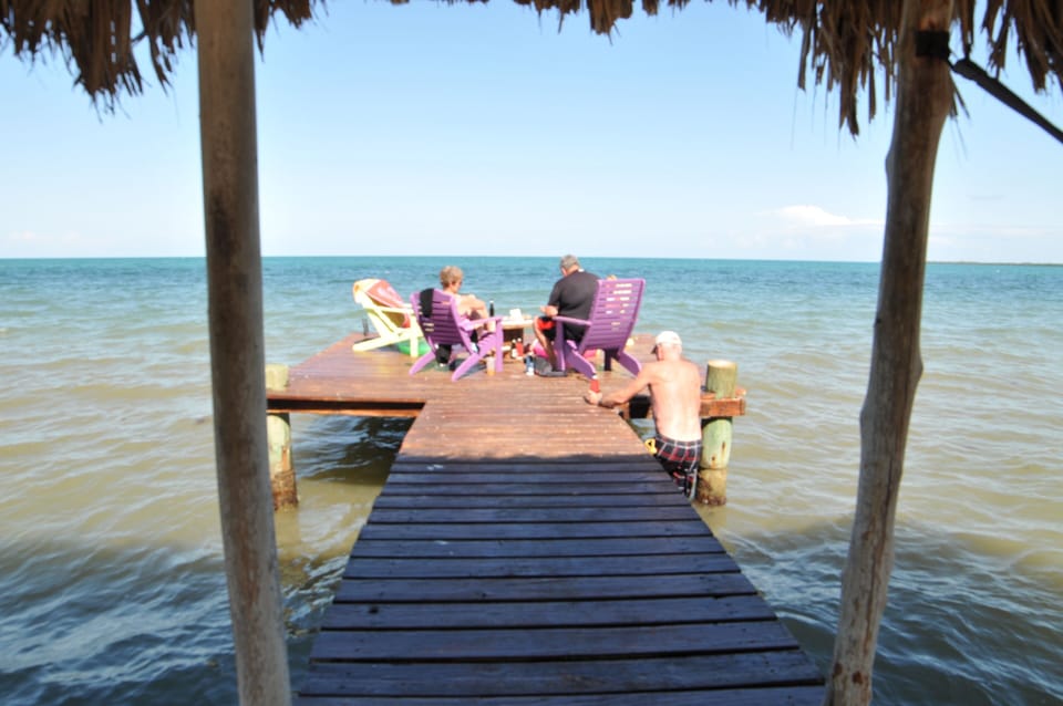 sun? shade? you pick!