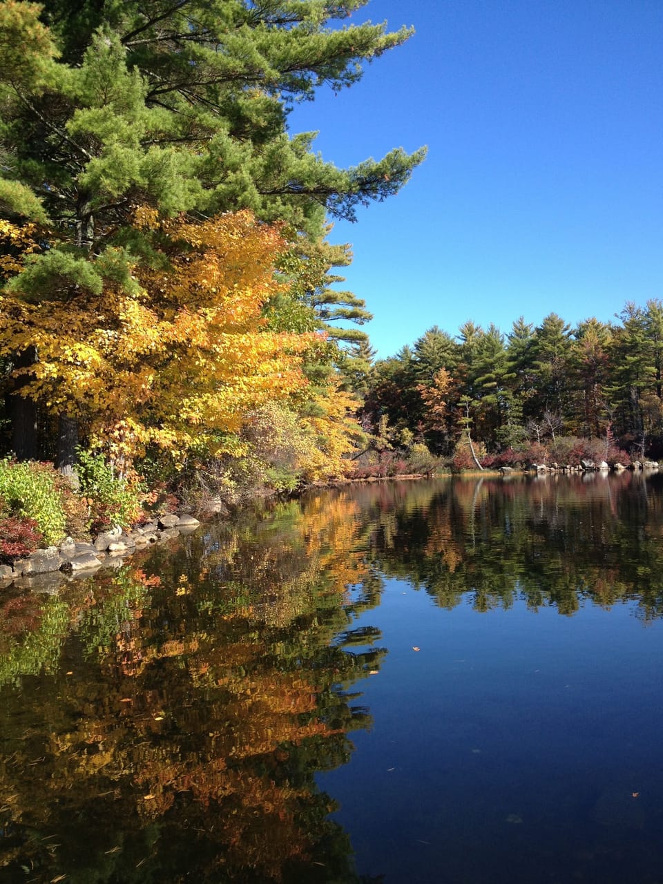 Peaceful fall scene looking at sandy cove for extra swimming venue steps away.