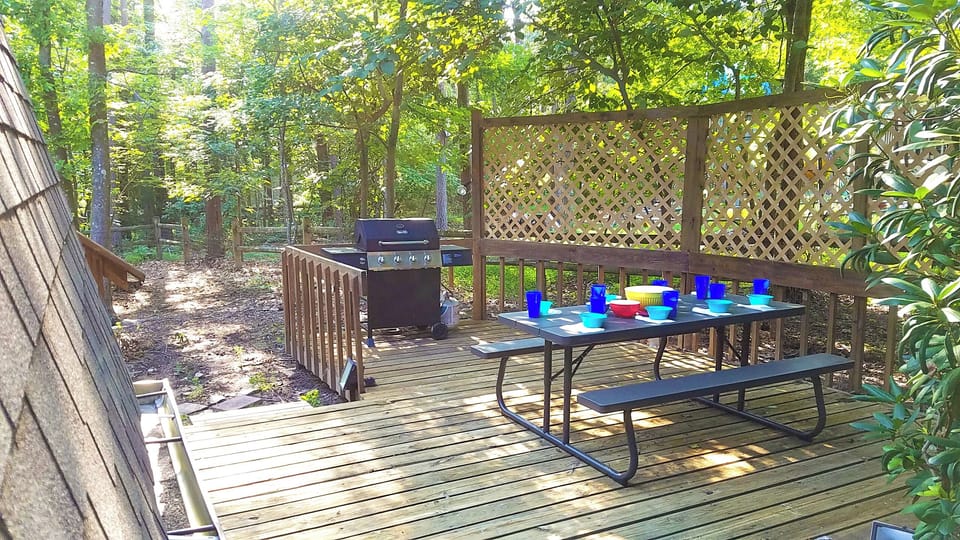 Outdoor grill and table
