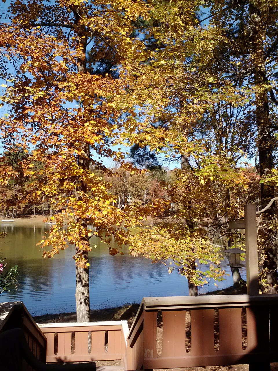 Fall Foliage view from deck