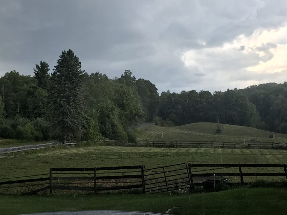 Rainy day view from the porch