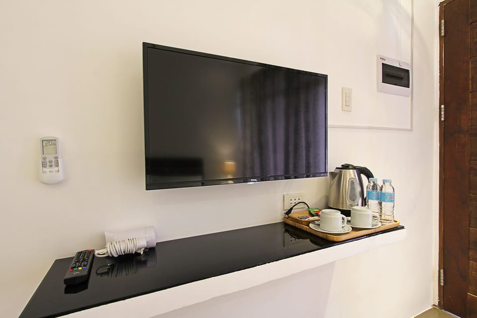 Television