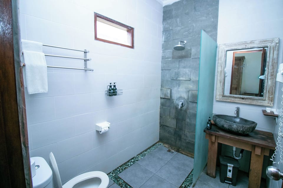 Deluxe Double | Bathroom | Shower, free toiletries, towels
