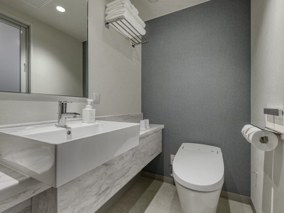 Free toiletries, hair dryer, slippers, bidet