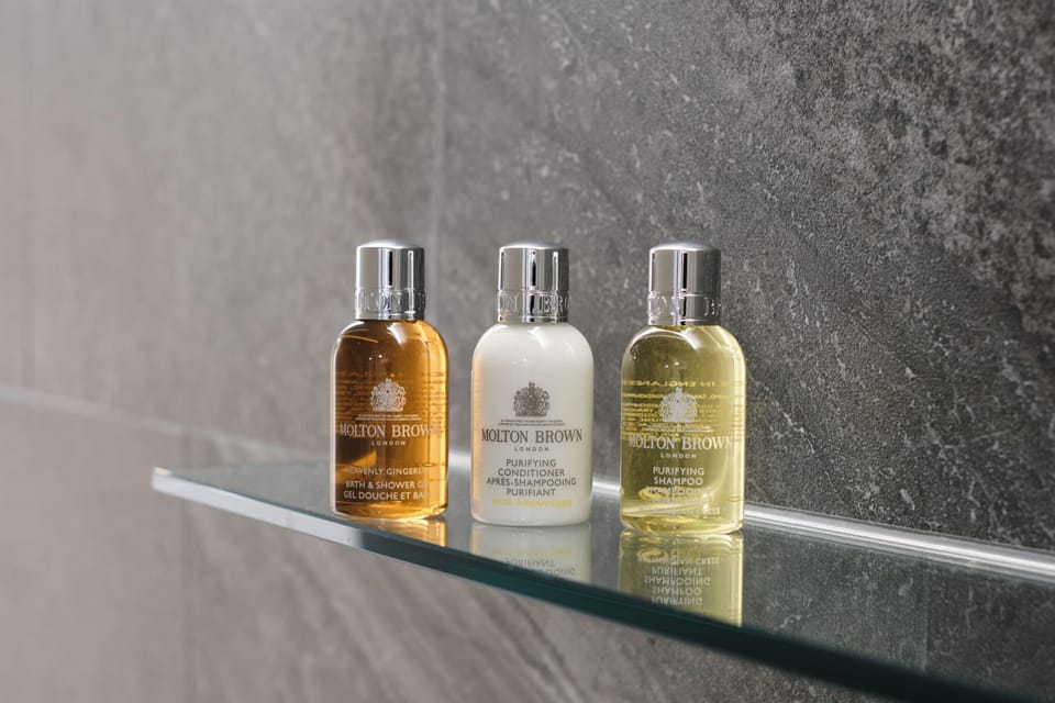 Free toiletries, hair dryer, slippers, bidet