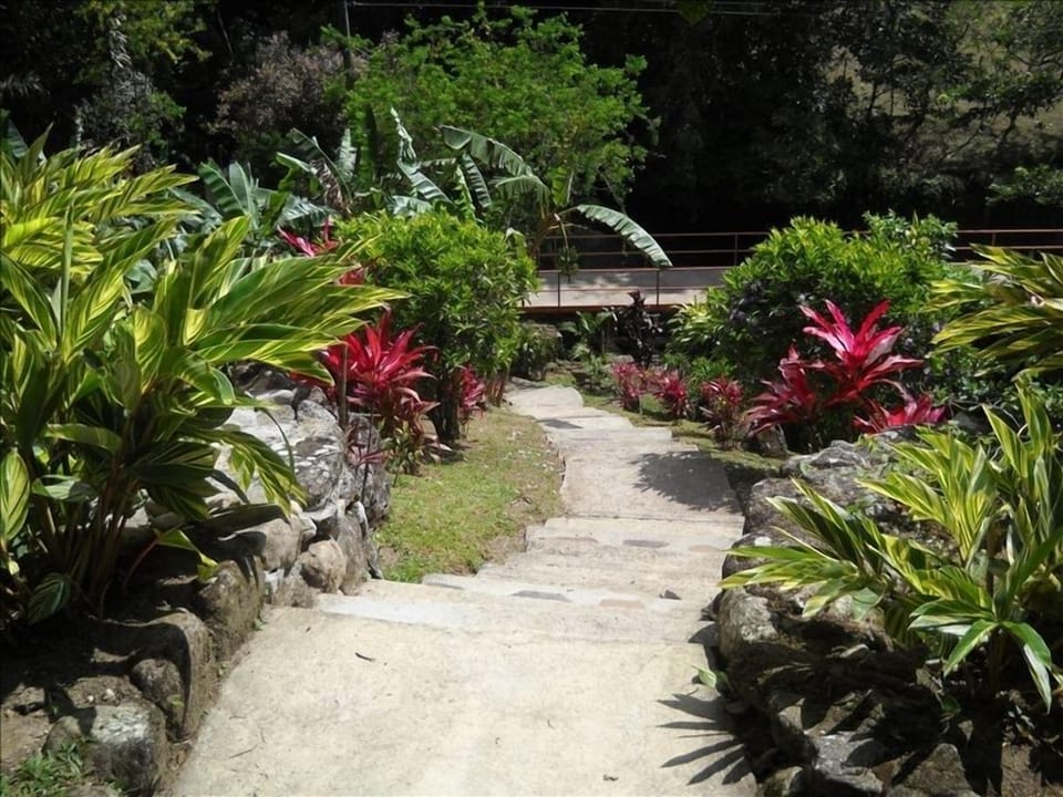 property is landscaped and has beautiful plants and fruit of all sorts 