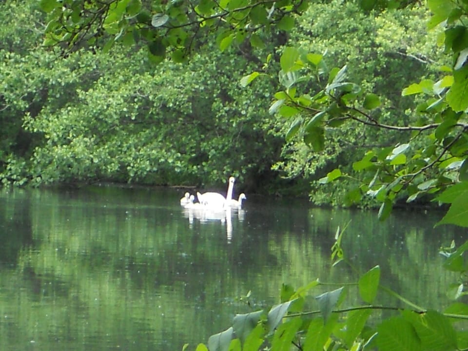 Visitors to the glacial pools on the reserve