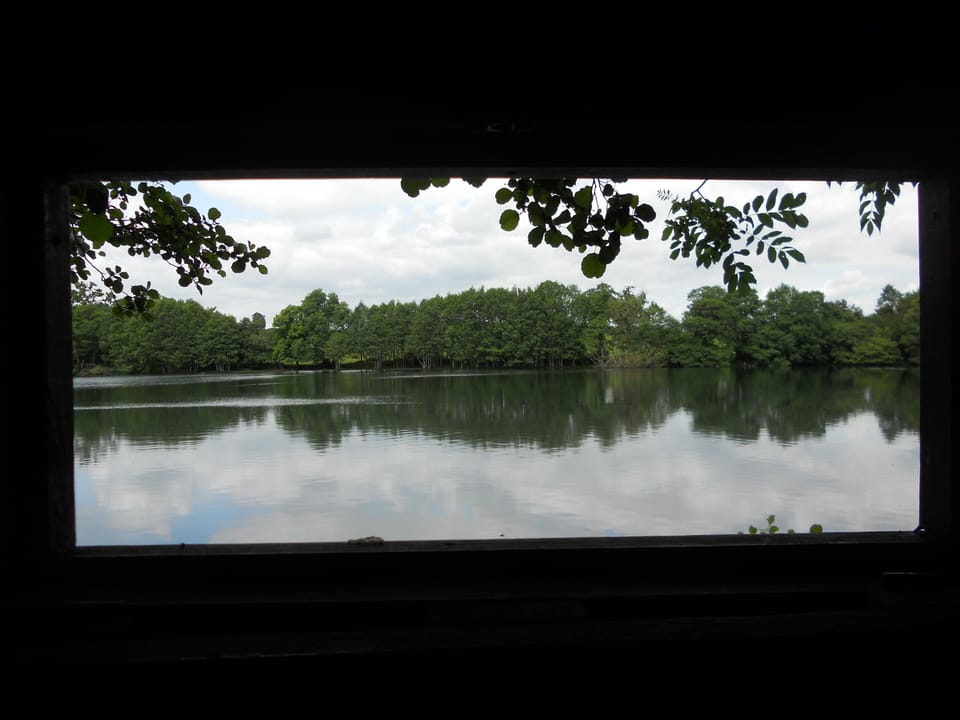 View from the Bird-Hide  on the Nature Reserve Just Down the Lane