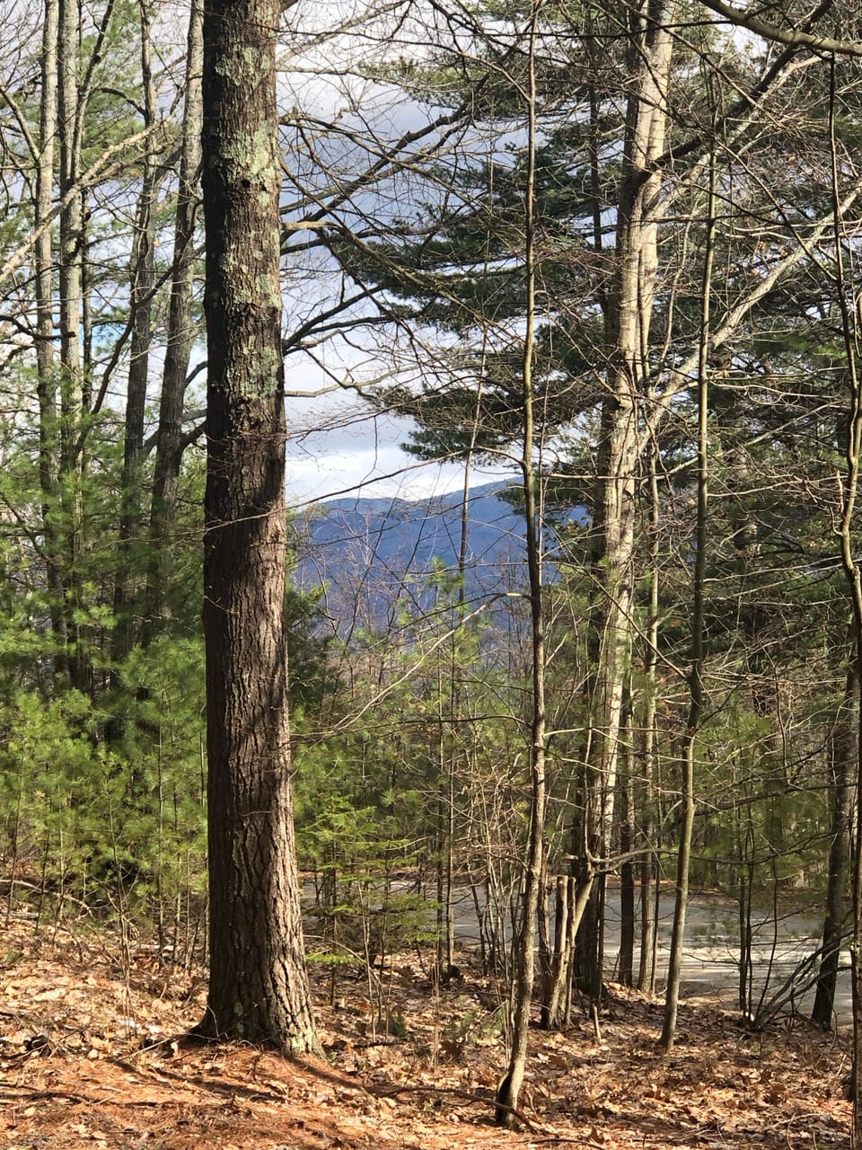 View from driveway.