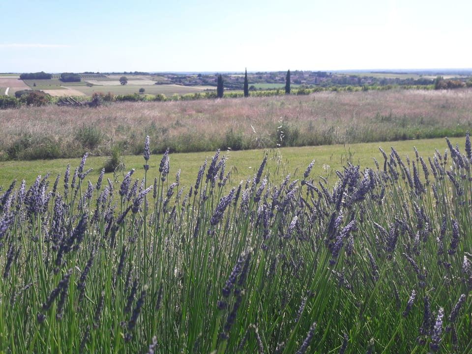 Land view from property