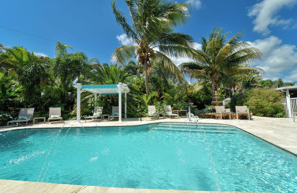 Heated Pool with Tropical Coconut Palms