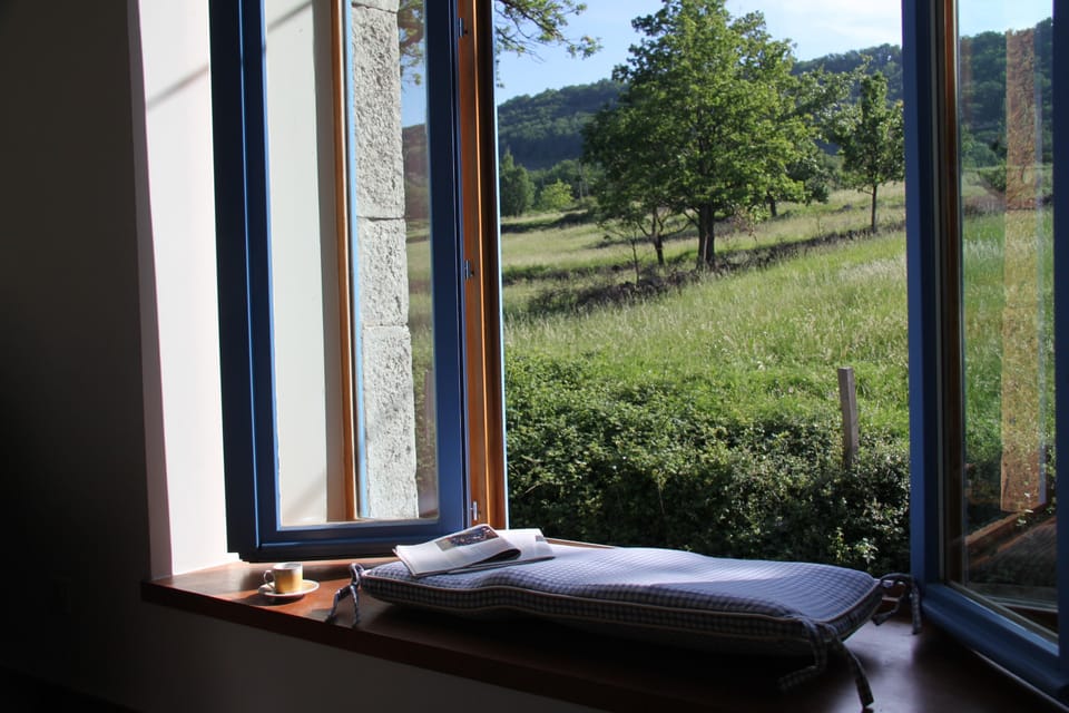 Morning view over the meadow from the playroom