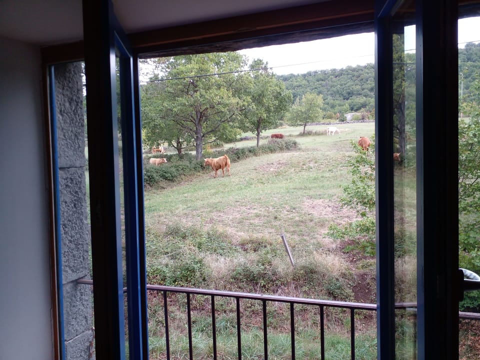 View from the TV room...why turn on the TV with a view like this?