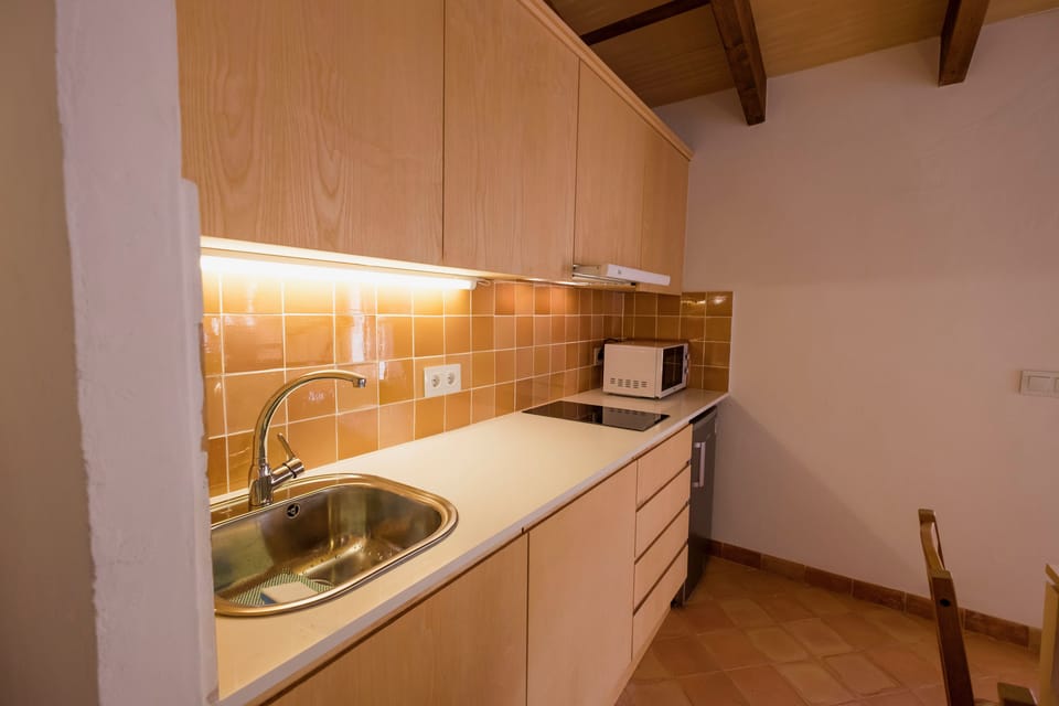 Superior Apartment, 1 Bedroom, Terrace | Private kitchen | Fridge, microwave, stovetop, dishwasher