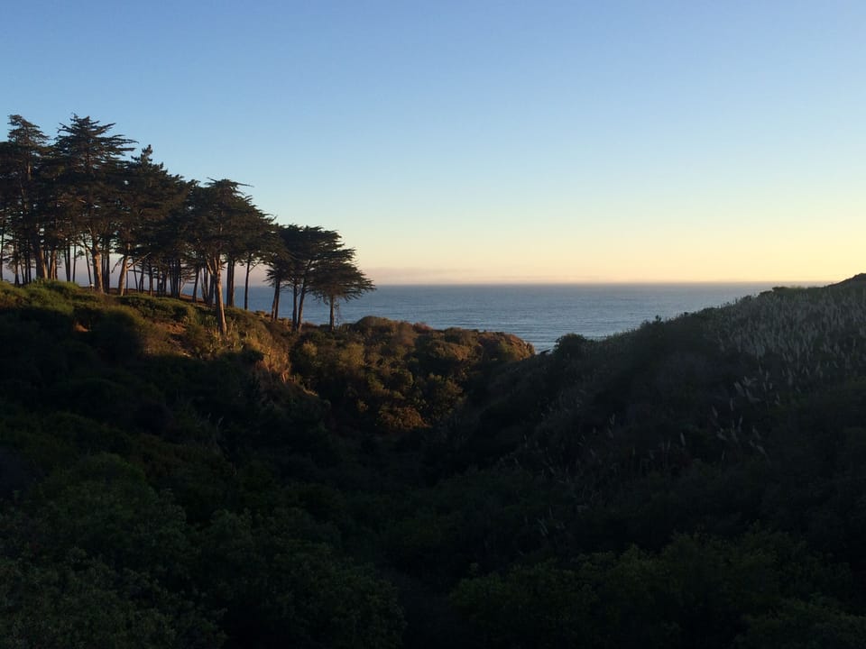 Day on the bay.